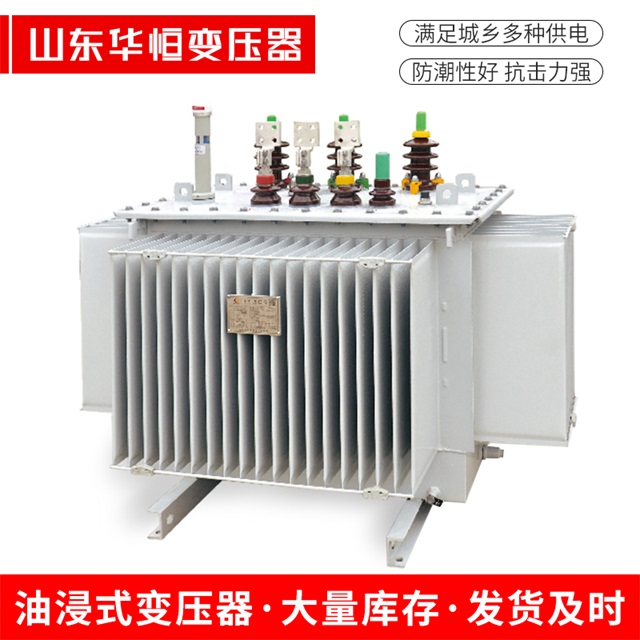 S13-10000/35南和南和南和电力变压器